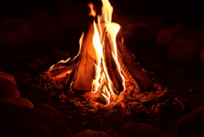 Campfire burning with glowing flames